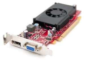 Placa video Nvidia GeForce 310 512MB / 64 BIT, DDR3, VGA + DisplayPort, PCI-EX